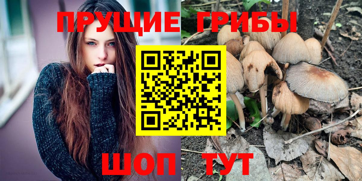 Элиста  Галлюциногенные грибы ЛСД  Вход с VPN  Галлюциногенные грибы прущие грибы 
